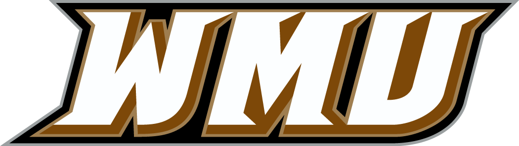 Western Michigan Broncos 1998-Pres Wordmark Logo v2 diy fabric transfer